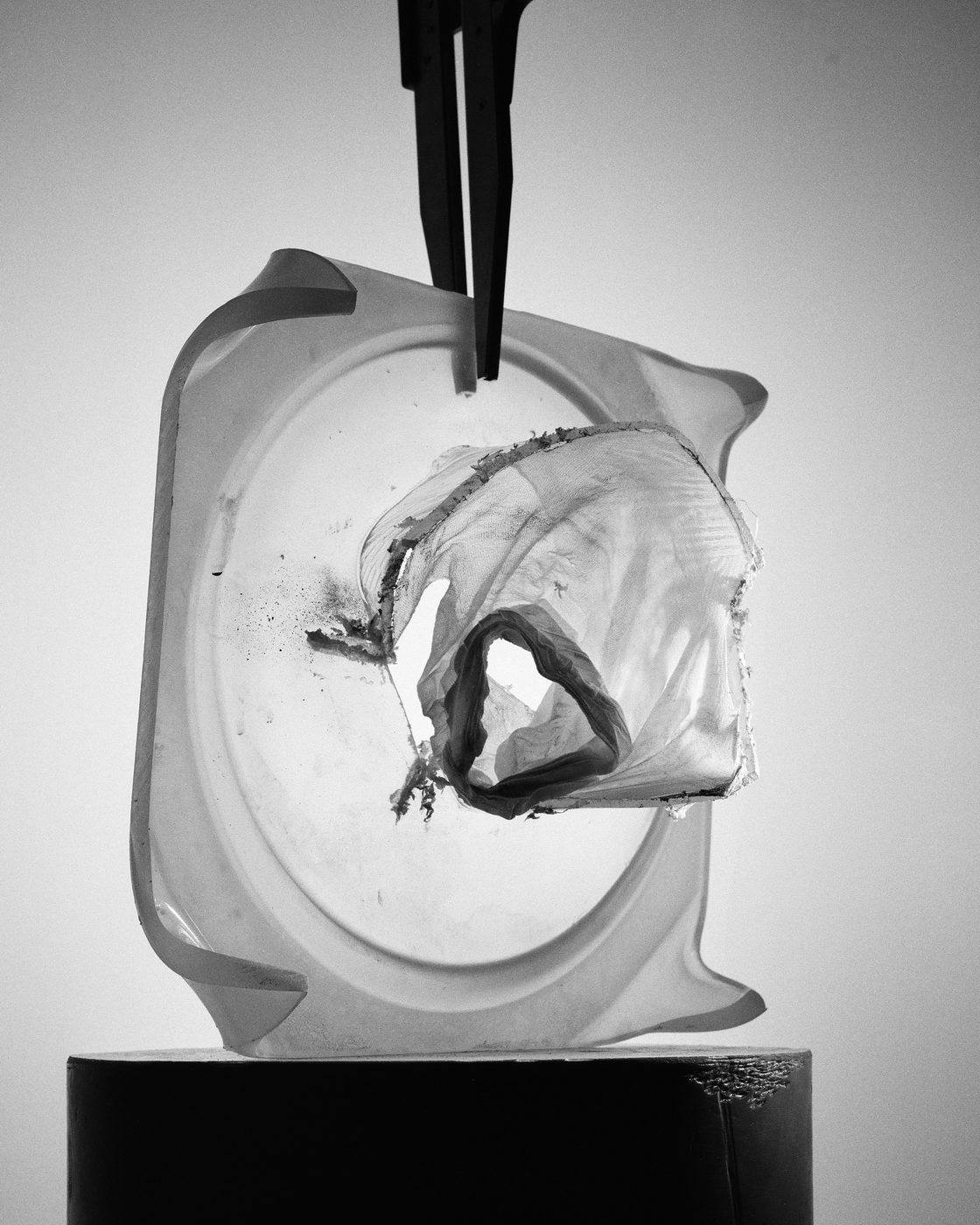 Elena Subach, Comission for Unbroken