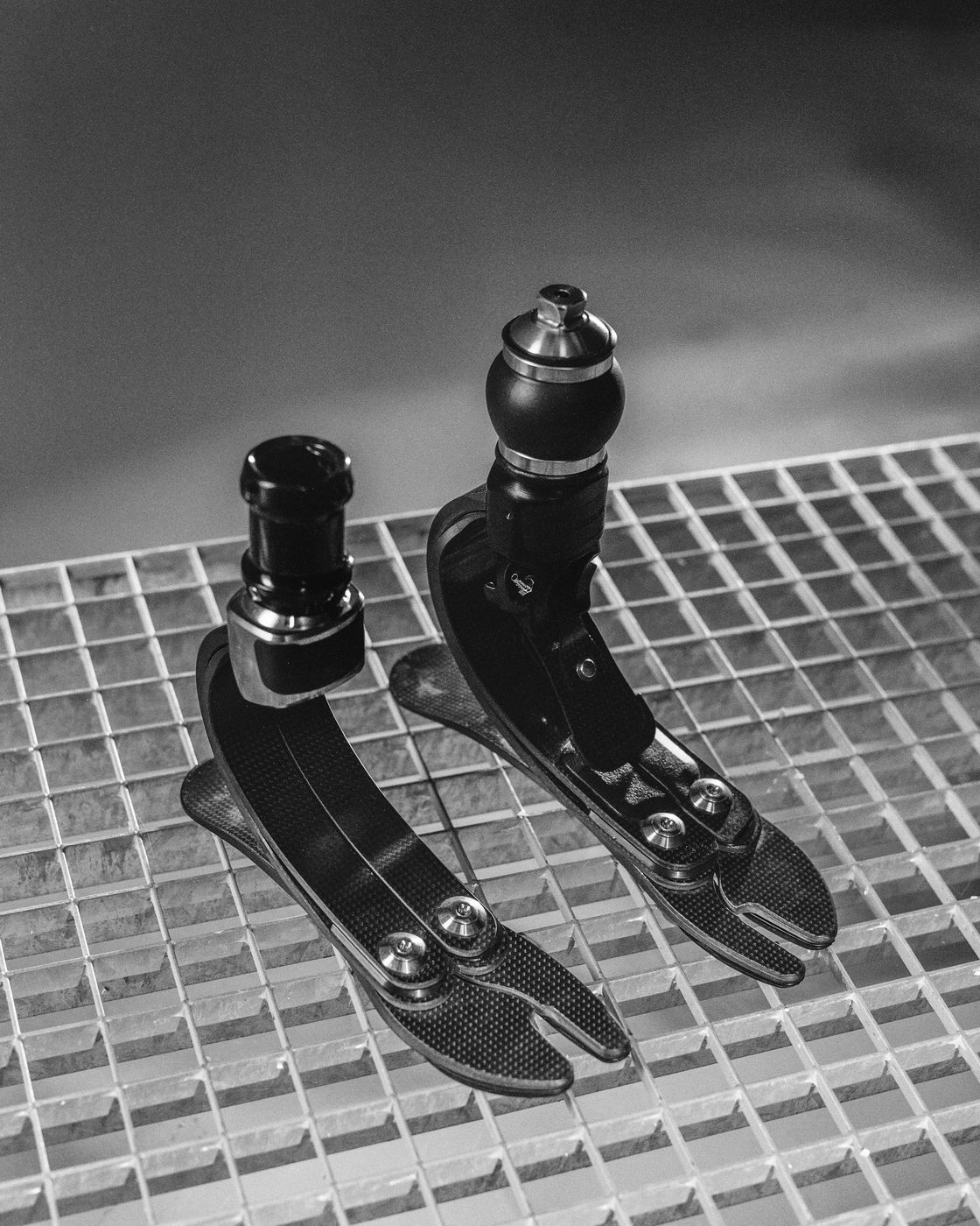 Elena Subach, Comission for Unbroken